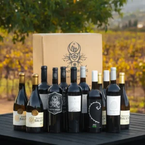 Selección Santos Brujos